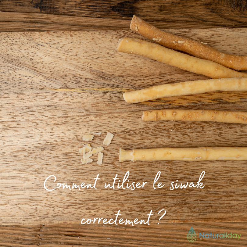 Comment utiliser le siwak correctement ?