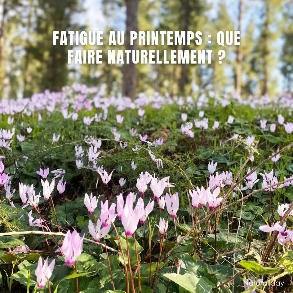 Fatigue au printemps : que faire naturellement ? (routine douce pour retrouver énergie et éclat)
