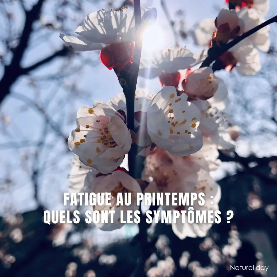 Fatigue au printemps : ces symptômes que votre corps vous envoie (et ce qu’ils veulent dire)