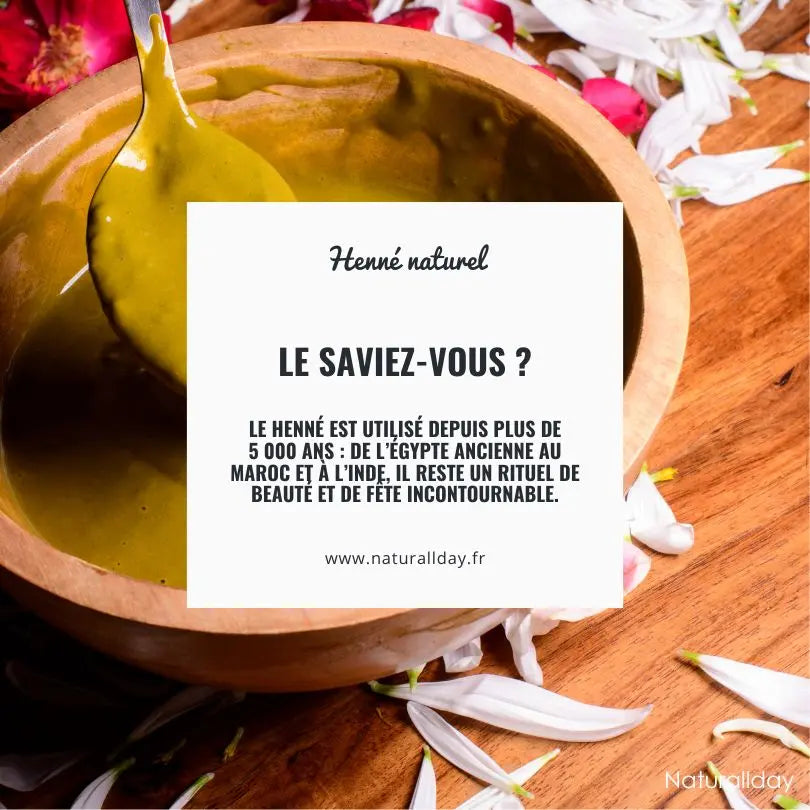 Le saviez-vous ? L’histoire et l’origine du henné, une plante millénaire