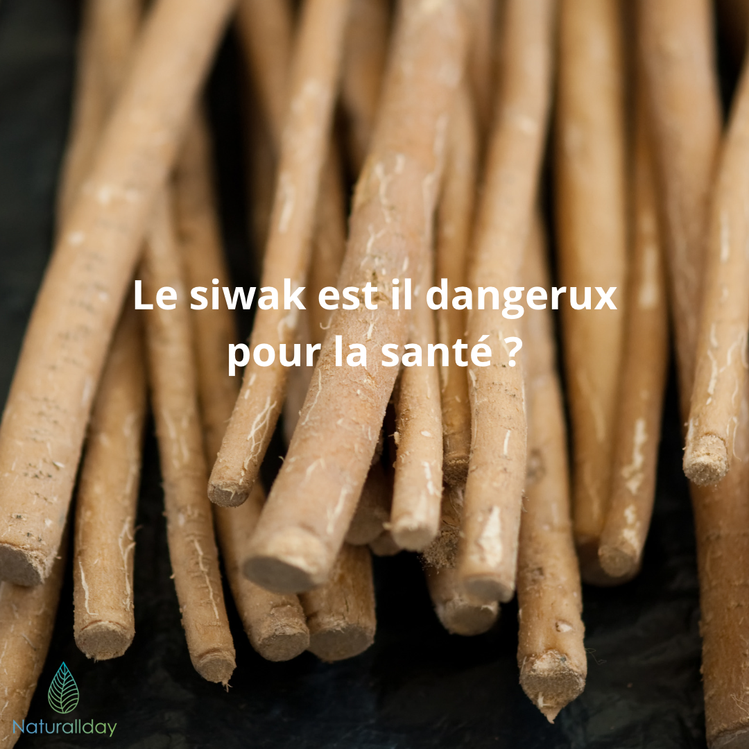 Le siwak est-il dangereux pour notre santé ? – Naturallday