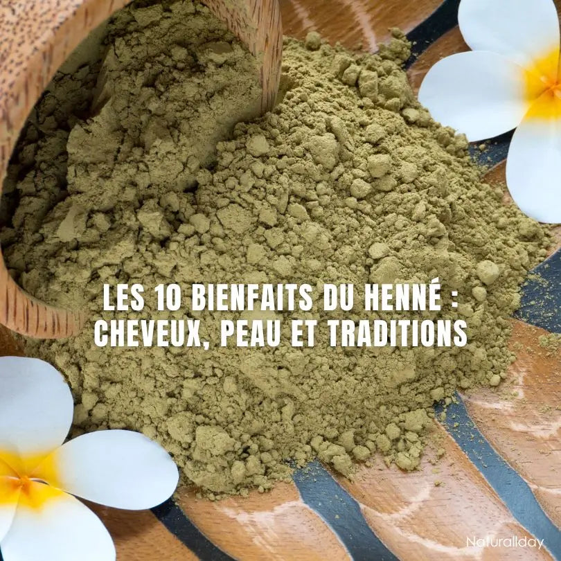 Les 10 bienfaits du henné : cheveux, peau et traditions