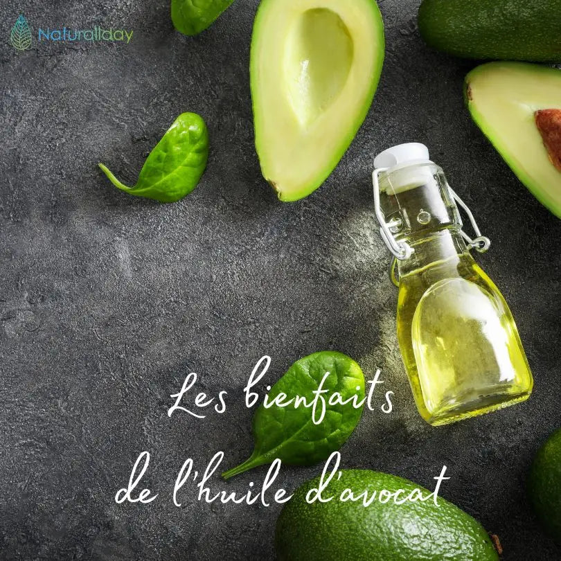 Les bienfaits de l’huile d’avocat pour la peau et les cheveux