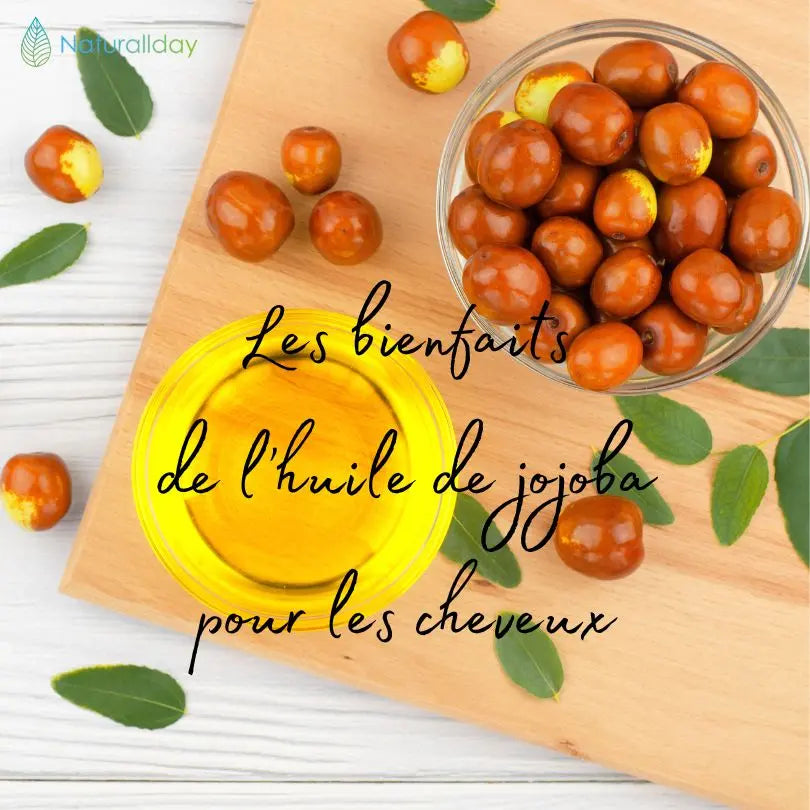Les bienfaits de l'huile de jojoba pour les cheveux
