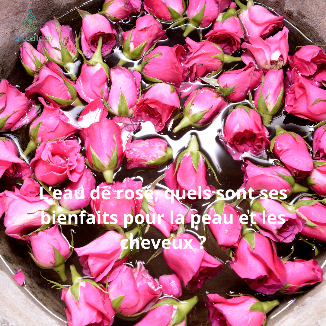 L'eau de rose, ses bienfaits pour la peau et les cheveux