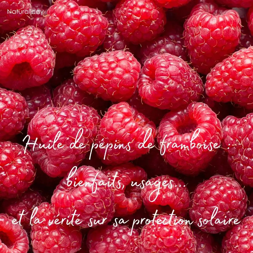 Huile de pépins de framboise : bienfaits, usages… et la vérité sur sa protection solaire