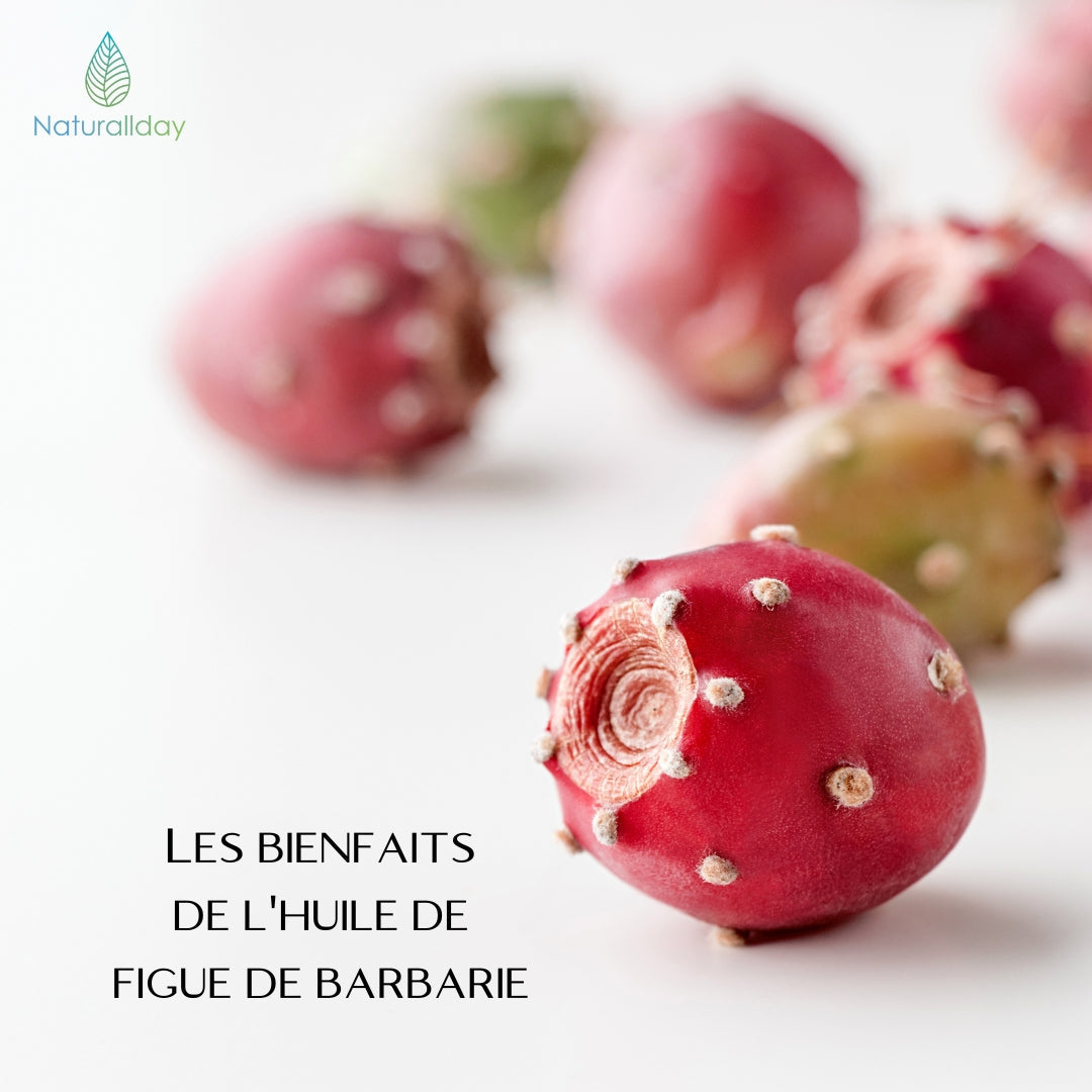 les bienfaits de l'huile de figue de barbarie