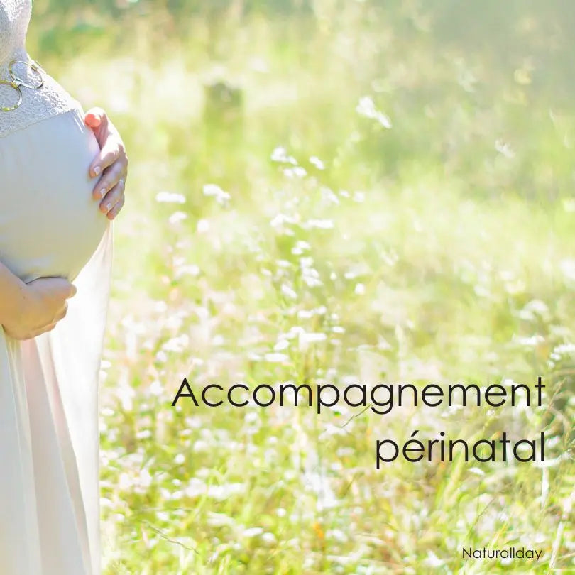 Accompagnement périnatal en ligne – À chaque étape, un soutien bienveillant