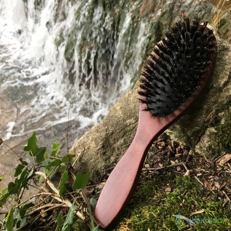brosse a cheveux en poils de sanglier