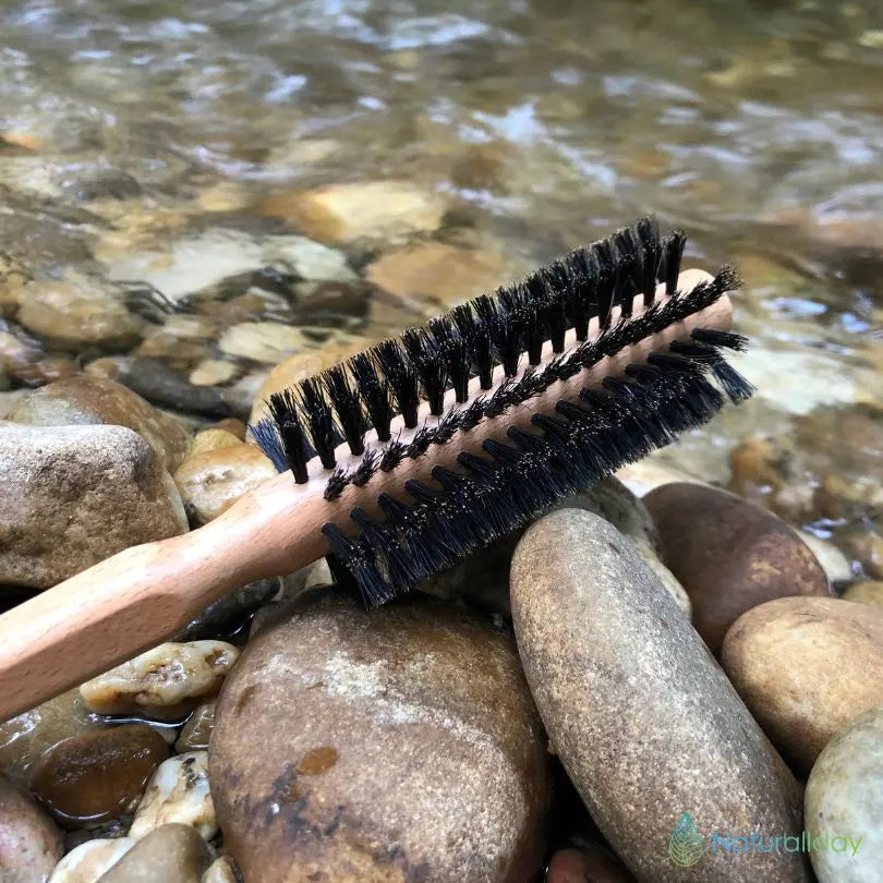 brosse en poils de sanglier