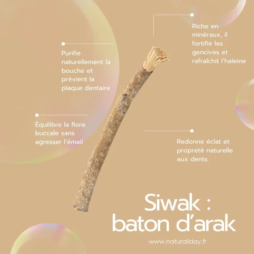 Siwak naturel – Bâton d’arak pour dents blanches et haleine fraîche