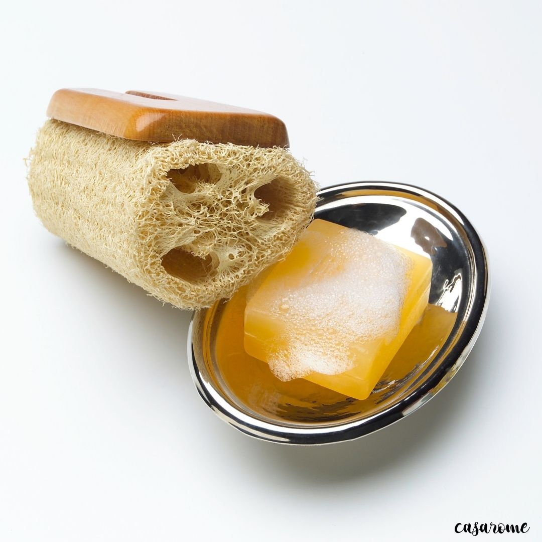 luffa eponge