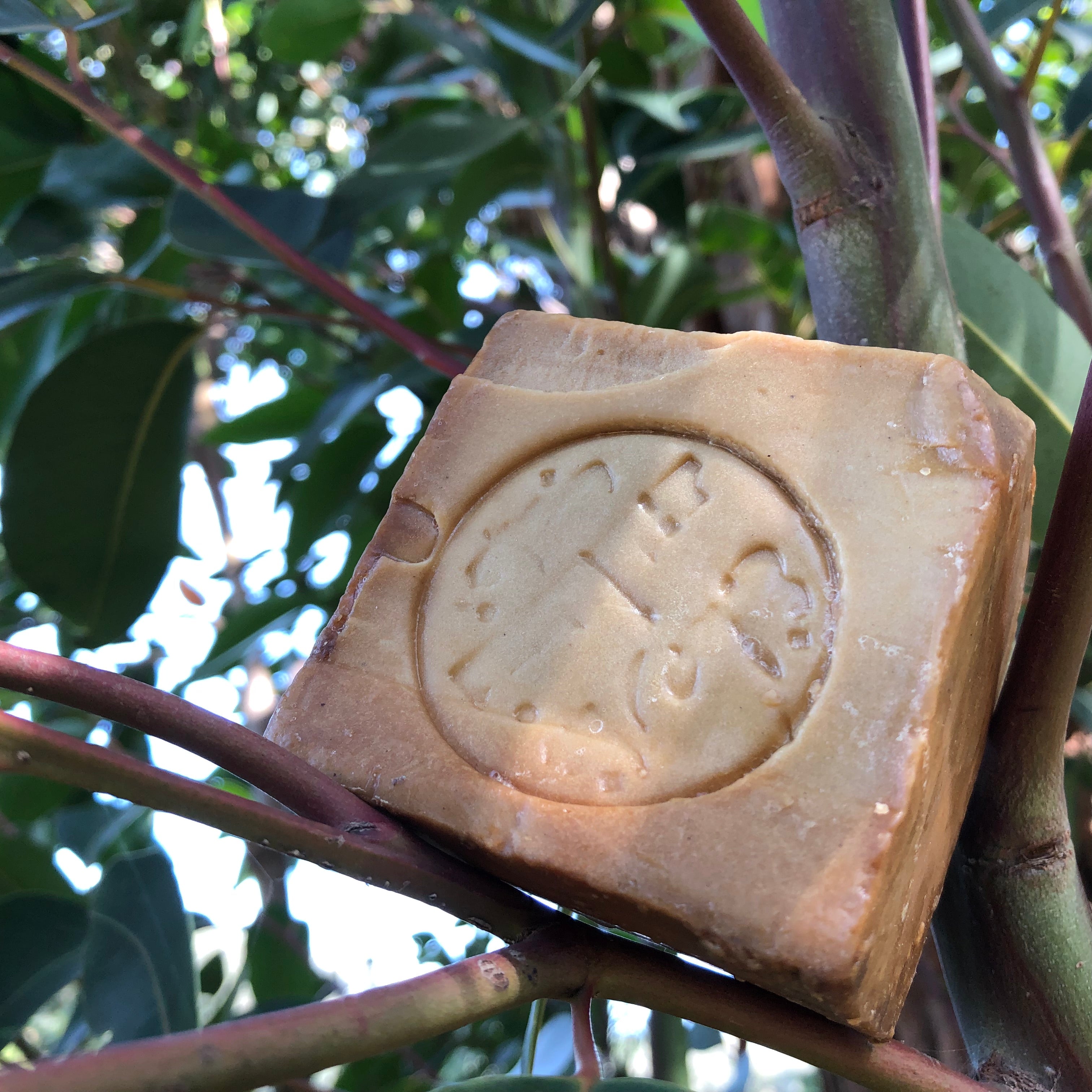 Savon d'alep - casarome