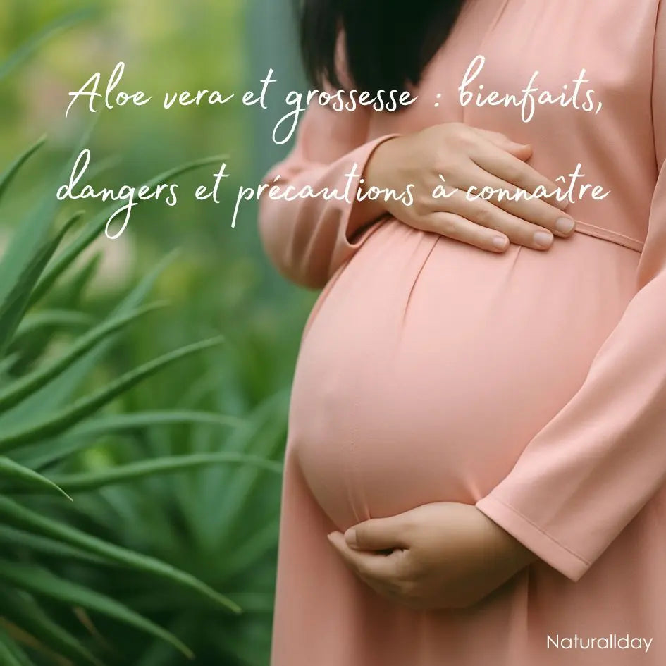 Aloe vera et grossesse : bienfaits, dangers et précautions à connaître