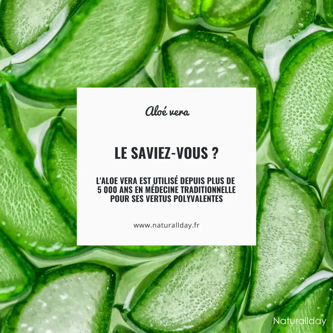 Aloe vera origine - une plante médicinale utilisée depuis 5 000 ans