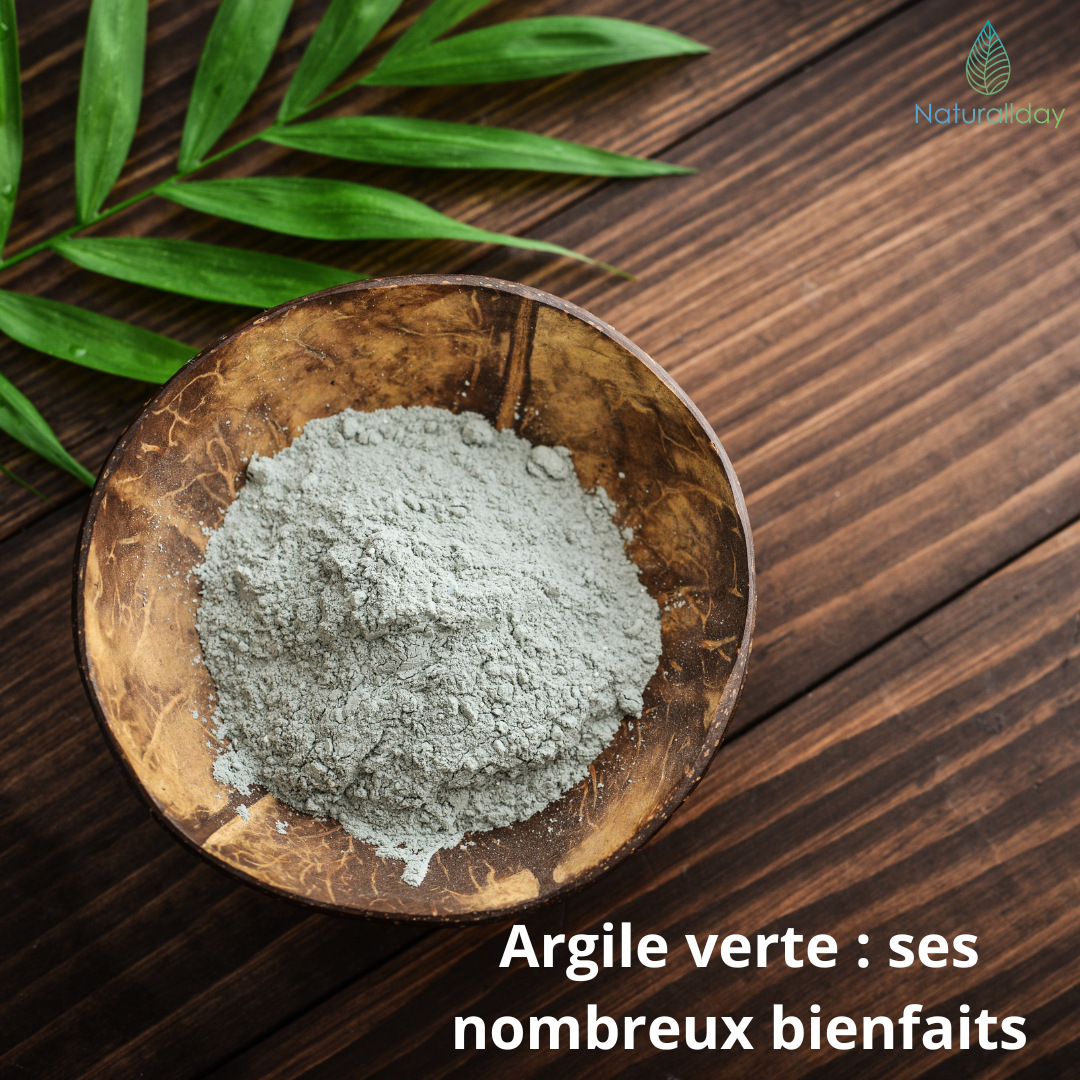 Argile verte : ses nombreux bienfaits pour les cheveux