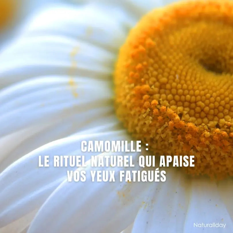 Camomille -  Le rituel naturel qui apaise vos yeux fatigués