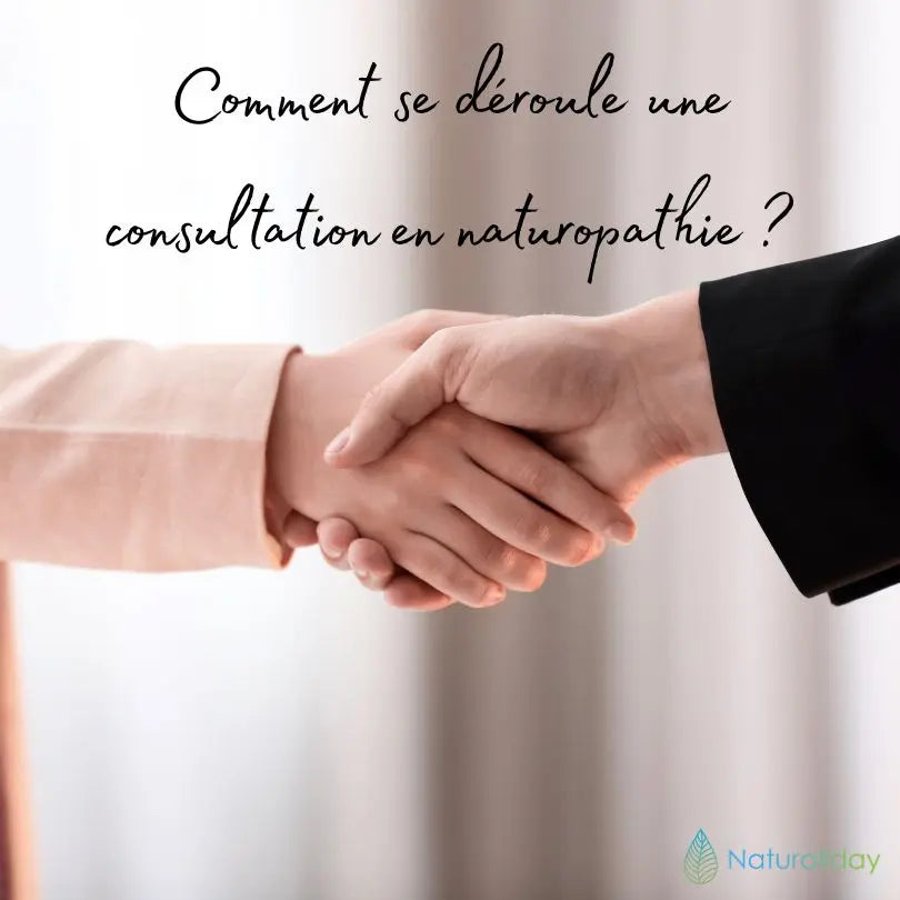 Comment se déroule une consultation en naturopathie