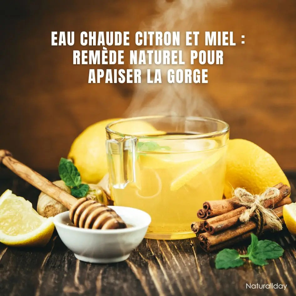 Eau chaude citron et miel : un rituel naturel pour apaiser la gorge et se ressourcer