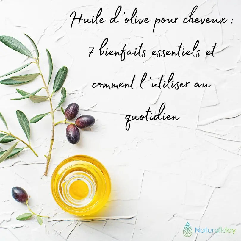 Huile d’olive pour cheveux : 7 bienfaits essentiels et comment l’utiliser au quotidien