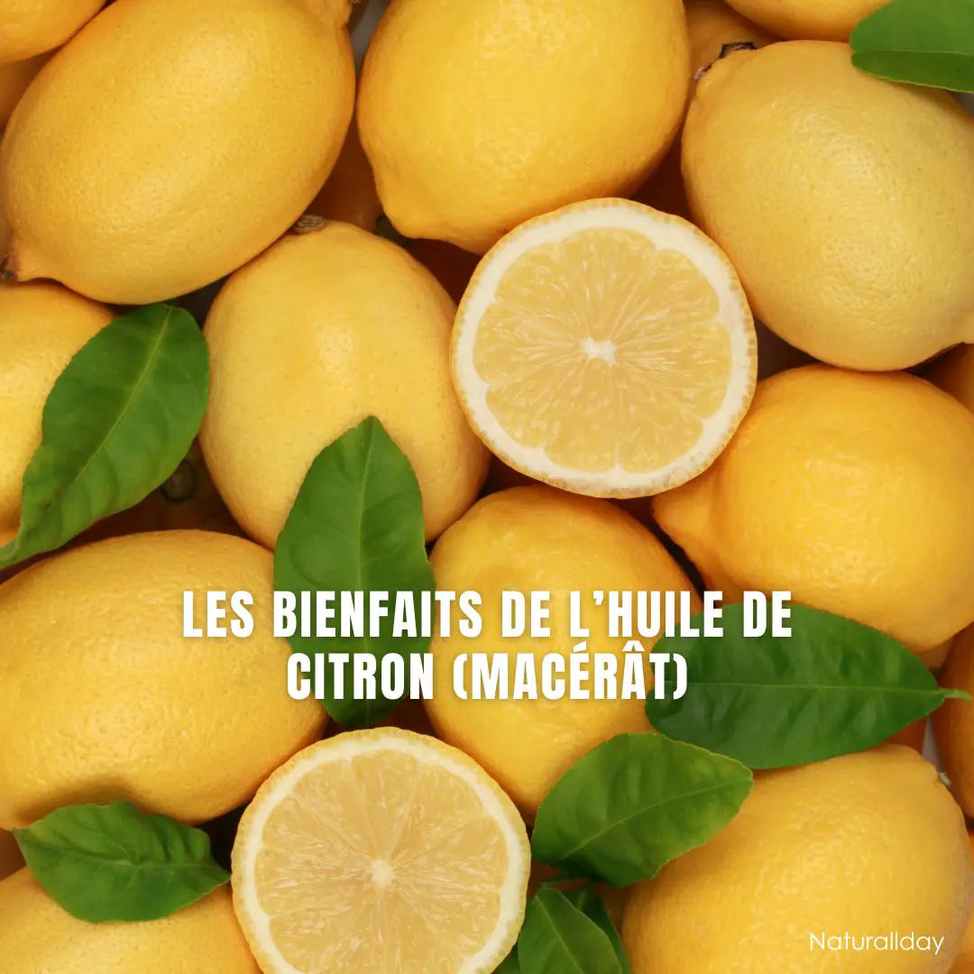 Les bienfaits de l’huile de citron (macérât)