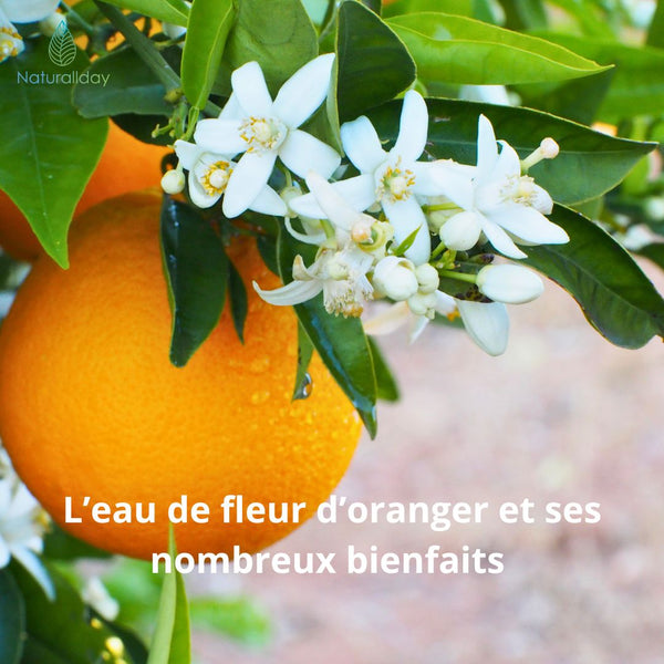 L’eau de fleur d’oranger et ses nombreux bienfaits