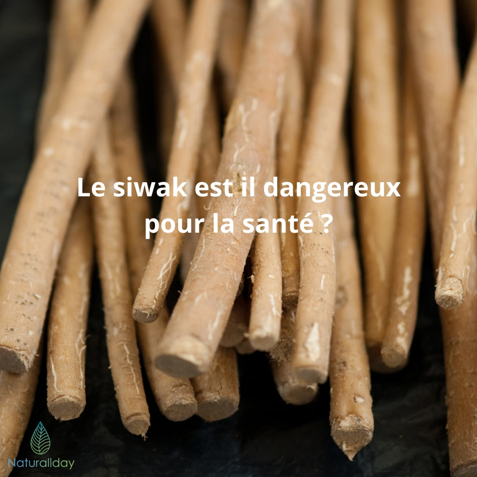 Siwak dangereux
