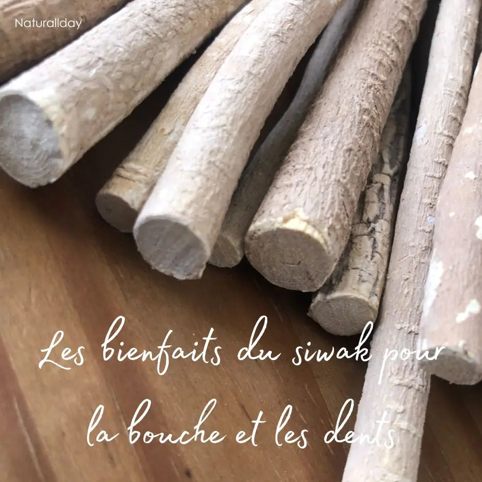 Les bienfaits du siwak pour la bouche et les dents