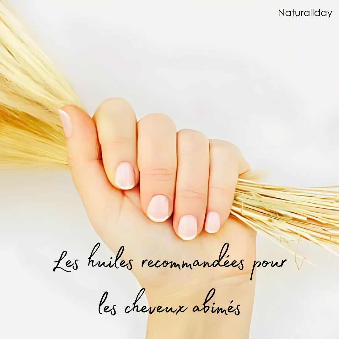 Les huiles recommandées pour les cheveux abimés