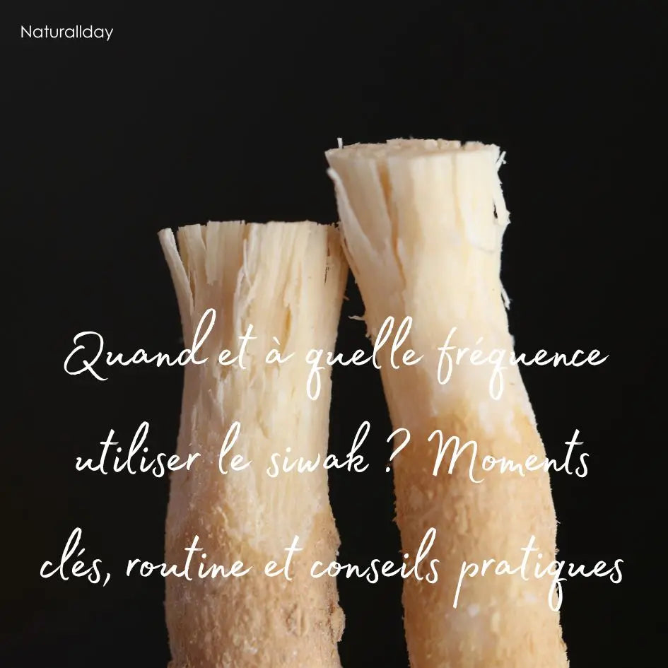 Quand et à quelle fréquence utiliser le siwak ? Moments clés, routine et conseils pratiques