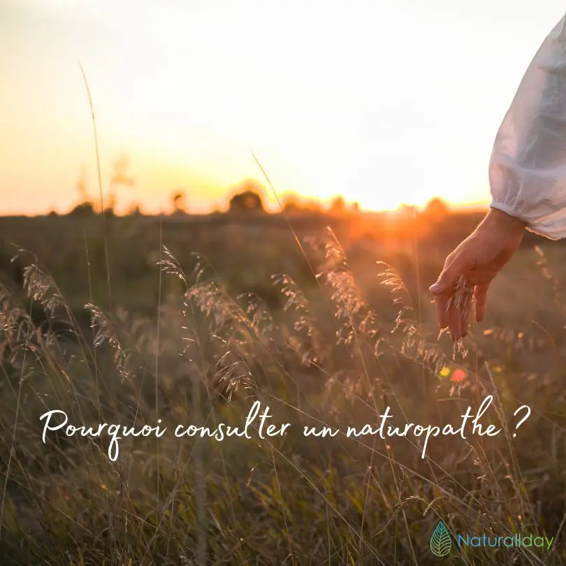 Pourquoi consulter un naturopathe ? Est-ce vraiment fait pour vous