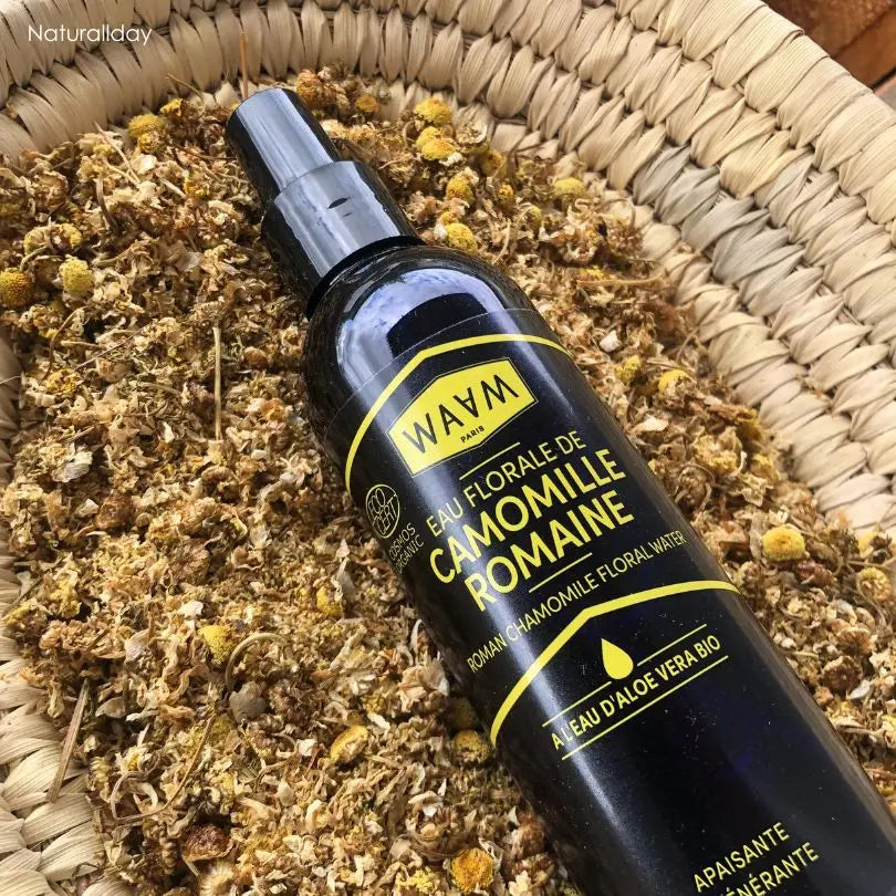 Eau florale de Camomille Romaine BIO - Le soin apaisant des peaux sensibles