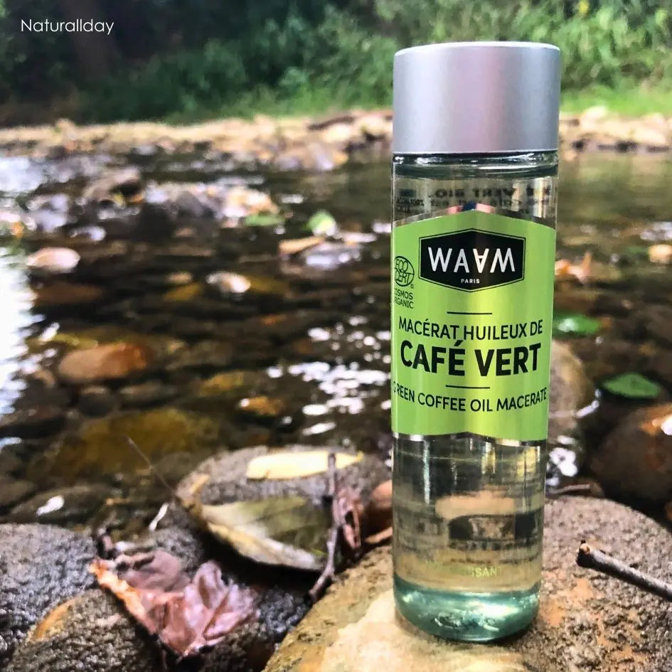 Macerat huileux de cafe vert
