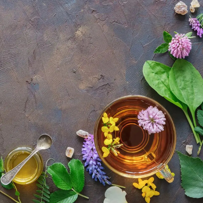 consultation naturopathie