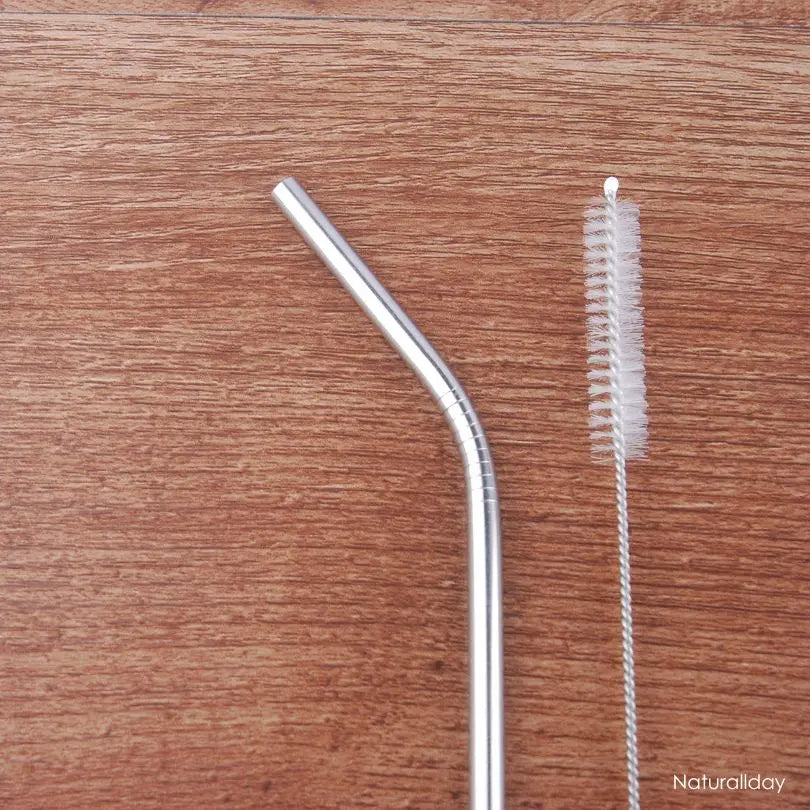 pailles inox naturallday