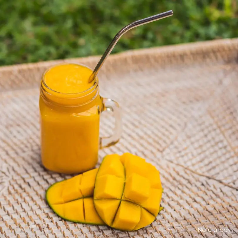 pailles inox smoothie